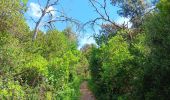 Tour Wandern Saint-Bonnet-du-Gard - mon 8 du pont du Gard  - Photo 2