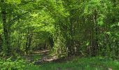 Tour Elektrofahrrad Saint-Clément - sortie vtt 05052024 pm - Photo 4