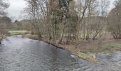 Randonnée Marche La Roche-en-Ardenne - Balade des panoramas à La Roche-en-Ardenne  - Photo 8