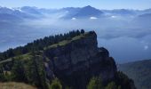 Excursión Senderismo Beatenberg - Niederhorn - Photo 1