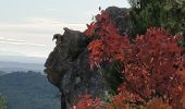 Tour Wandern Les Baux-de-Provence - Sentier Les Baux de Provence  - Photo 18