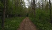 Trail Walking Virton - Lamorteau  -  Balade_VTT_28kms - Photo 8