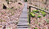 Excursión Senderismo Jalhay - Légendes et forêt enchantée à Solwaster. (Promenade 57)  - Photo 6