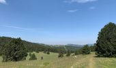 Randonnée Vélo électrique Saint-Agnan-en-Vercors - Traversée u Vercors  - Photo 9