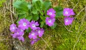 Trail Walking Revel - Lac du Crozet - Photo 16
