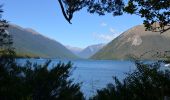 Tocht Te voet Unknown - St Arnaud Range Track - Photo 2