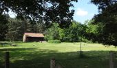 Tour Zu Fuß Unterspreewald - Wanderweg Neuendorf-Tschinka-Alt Schadow - Photo 2