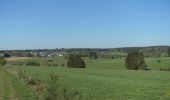 Tour Wandern Neufchâteau - Respelt - Bernimont - Photo 9