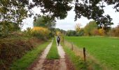 Tour Wandern Orp-Jauche - #201026 - Entre Énines, Jauche et Folx-les-Caves - Photo 4