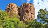 Excursión Senderismo Roquebrune-sur-Argens - La Bouverie - Gorges du Blavet - Grotte du Muéron - Photo 5