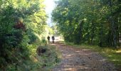 Trail Walking La Bastide-Puylaurent - GR_70_AF_06_Bastide-Puylaurent_Mont-Lozere-Goulet_20140920 - Photo 2