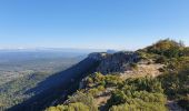 Trail Walking Mazaugues - le Mourre d'Agnis au départ du Caucadis - Photo 8