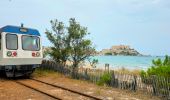 Tocht Stappen Calvi - Calvi Citadelle et plages - Photo 5