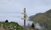 Tour Wandern Bernex - Boucle depuis Pre Richard.. - Photo 6