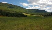 Tocht Stappen La Motte-Chalancon - LA MOTTE CHALANCON - LE PLATEAU DE LA CHAU - Photo 15