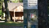 Excursión A pie Desconocido - Dresdner Heide, Kannenhenkel - Photo 3