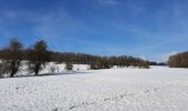 Randonnée Marche Tinlot - Ramelot sous la neige - Photo 8