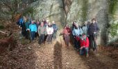 Trail Walking Fontainebleau - carrefour Acheté 3 février 2023 - Photo 3