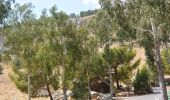 Trail On foot Kiryat Shmona - IL-2050 - Photo 4