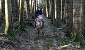Trail Horseback riding Fougerolles-Saint-Valbert - Le Sarcenot 1h30 à pied - Photo 1