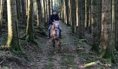 Tocht Paardrijden Fougerolles-Saint-Valbert - Le Sarcenot 1h30 à pied - Photo 1