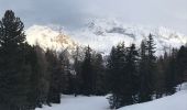 Tour Skiwanderen La Plagne-Tarentaise - Myrtilles  - Photo 1