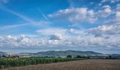 Tour Zu Fuß Bad Staffelstein - Hasenweg (Romansthal) - Photo 4