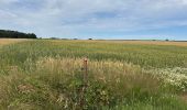 Tour  Attert - Balisage GR 15 - Photo 7