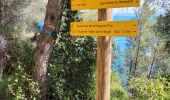 Trail Walking Martigues - le parc de Figuerolles - Photo 8