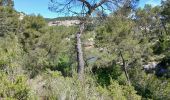 Trail Walking Aix-en-Provence - 13-bibemus_barrages_zola&bimont_10km270m - Photo 7