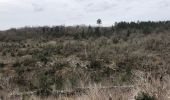 Tocht Stappen Sauliac-sur-Célé - Sauliac sur céle Cabreret en boucle  - Photo 8