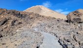 Randonnée Marche La Orotava - Sommet du Teide - Photo 4
