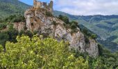Tour Wandern Caudiès-de-Fenouillèdes - Gorges de St Jaume à Caudiès de Fenouillèdes  -Pyrénées Orientales - Photo 19
