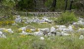 Trail Walking Caussols - Embu de caussol  - Photo 1