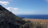 Excursión Ruta Buenavista del Norte - Punta de Teno- Teno Alto - Casablanca - Photo 2