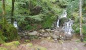 Randonnée Marche Sewen - Sewen - Lac d'Alfeld - Ferme auberge du Baerenbach - Photo 7