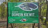 Tour Wandern Hasselt - Domaine Kiewit & 