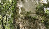 Percorso Marcia Signes - Boucle Chibron - Haut Latay - Photo 11