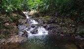 Tour Wandern Sainte-Rose - Cascade Naca - Photo 14