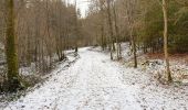 Randonnée Marche Tellin - Grupont au Bois de Machi - Photo 4