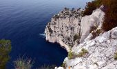 Tocht Stappen Cassis - Les 3 Calanques coté Est - Port Miou - En Vau - Port Pin - Photo 9