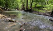 Tour Wandern Doische - Vallée de l'Hermeton - Photo 16