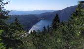 Trail Walking Orbey - Lac Blanc - Photo 6