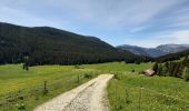 Tour Wandern Glières-Val-de-Borne - GLIERES: TOUR DE LA MONTAGNE DES FRETES - Photo 16