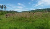 Randonnée Marche Theux - autour de Bronromme a travers campagne fagne et forêt  - Photo 6