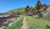 Tocht Stappen Sainte-Anne - Quartier ferré vers Cap Chevalier avec modification du parcours en cas de problème à Anse aux bois !  - Photo 5