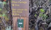 Tour Wandern Sainte-Rose - jour 11 montée Fournaise. - Photo 12