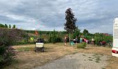 Tocht Fietstoerisme Issenheim - ELSASS BIKE 2020 - ETAPE 2 - Photo 1