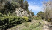 Tour Wandern Mérindol - PF-Mérindol - Carrières - Durance - Garrigue - CP - Photo 12