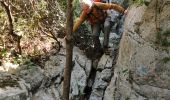 Randonnée Marche Le Revest-les-Eaux - Du Tourris au lac du Revest - Photo 14